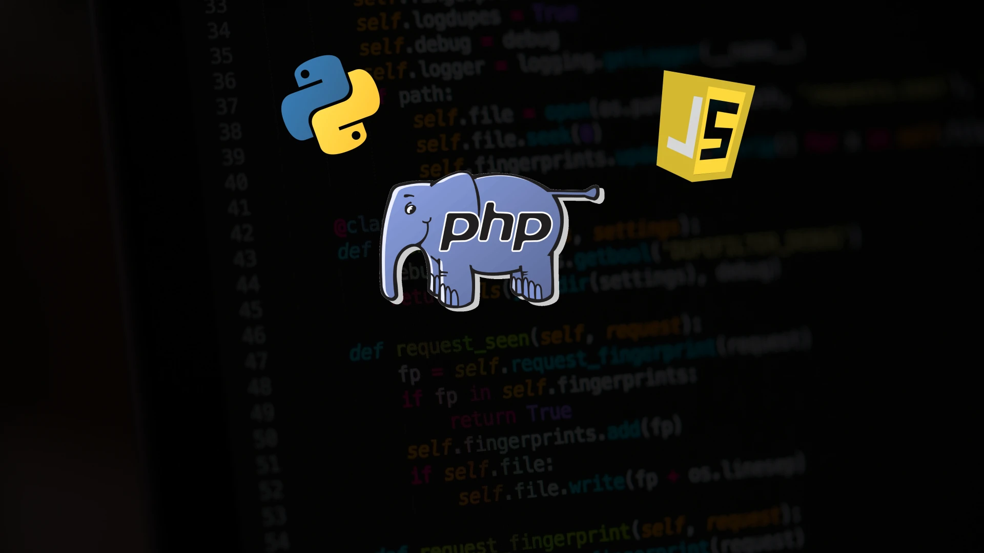بهترین زبان برنامه‌نویسی برای شروع چیست؟ انتخاب درست بر اساس هدف